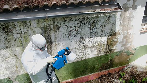 Trusted Mold Testing service in Halifax, PA - Cheap Mold Removal